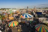 Great New York State Fair, Syracuse.