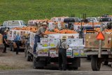 Fordsbush Auction, Minden, Montgomery County