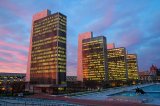 Albany