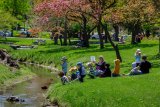 Saratoga Springs