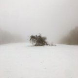 Oppenheim