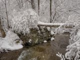 Minden