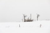 Herkimer County