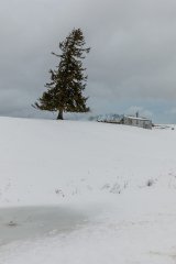Minden