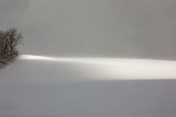 WYB18-008-3